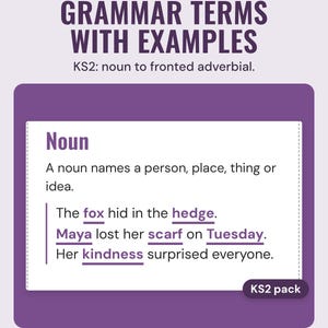 KS2 grammar term card for noun with a definition and example sentences, nouns underlined.