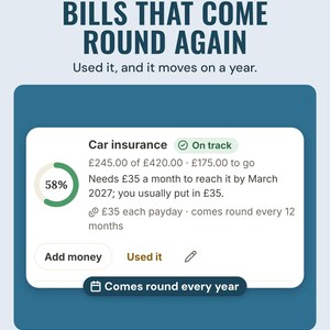 Car insurance pot: £245 of £420, £35 each payday, comes round every 12 months