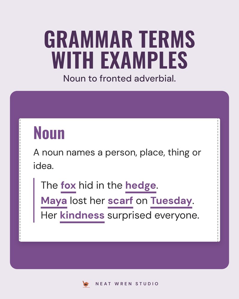 Grammar term card for noun with a definition and example sentences, nouns underlined.