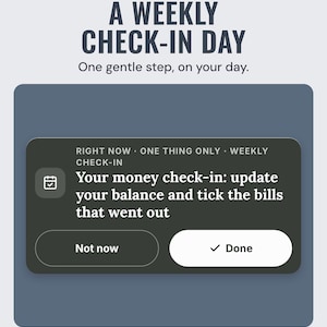 Right now on the check-in day: your money check-in, update your balance and tick the bills that went out