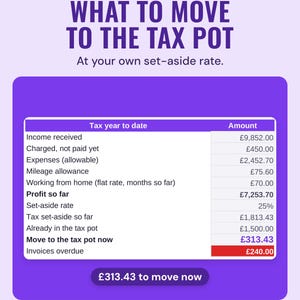 Dashboard showing what to move to the tax pot, £313.43 in the example