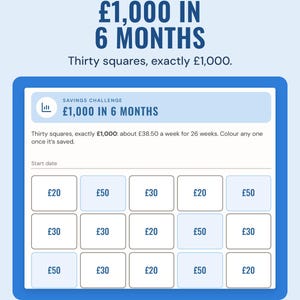 The A6 1,000 pounds in 6 months insert: thirty squares of 20, 30 and 50 pounds.