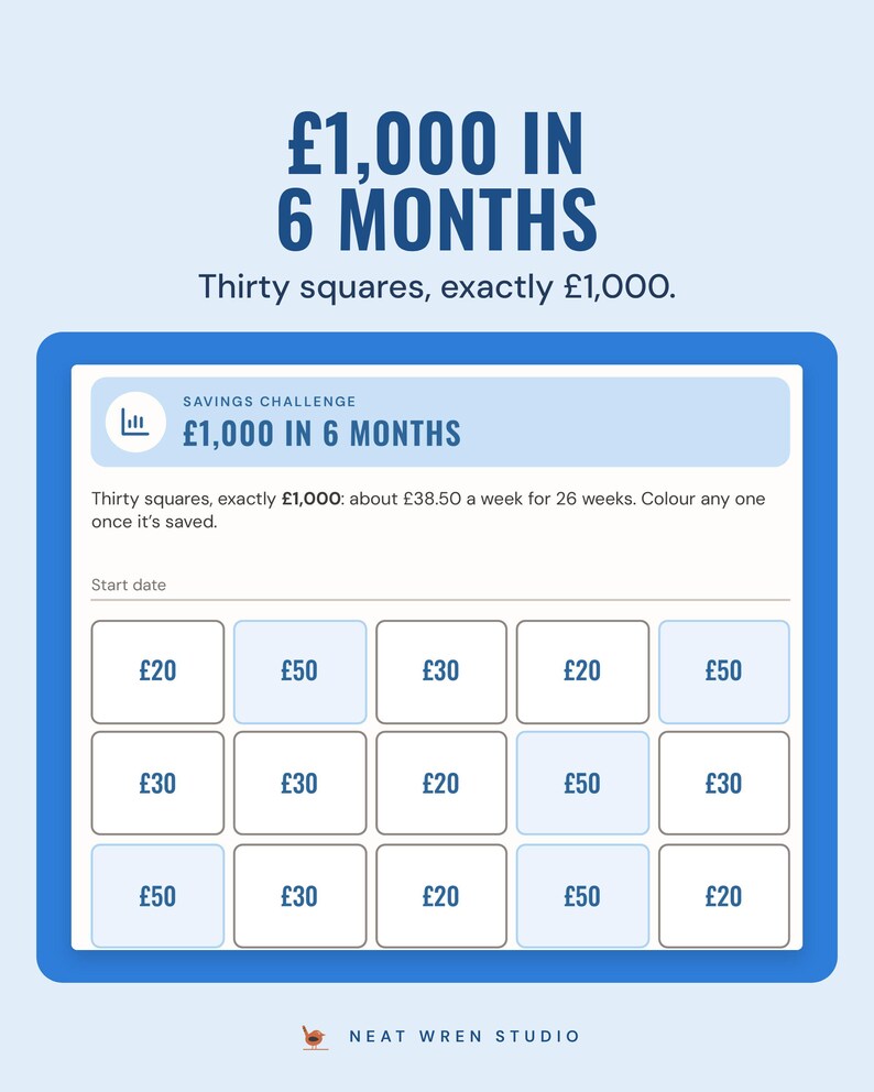 The A6 1,000 pounds in 6 months insert: thirty squares of 20, 30 and 50 pounds.