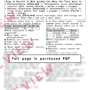 Hojas de trabajo sobre materia y energía: fotosíntesis y respiración, repaso para el examen de ciencias de 8.º grado de Florida, SC.8.L.18.4 SC.8.L.18.1 imagen 3