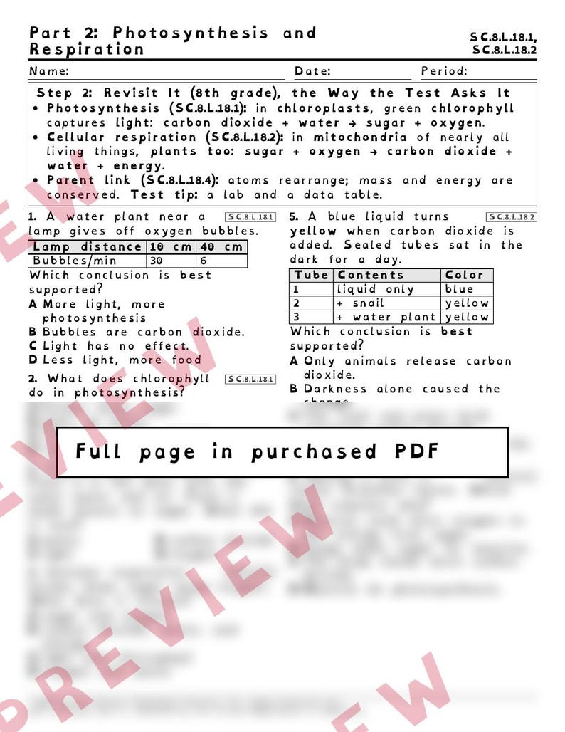 Hojas de trabajo sobre materia y energía: fotosíntesis y respiración, repaso para el examen de ciencias de 8.º grado de Florida, SC.8.L.18.4 SC.8.L.18.1 imagen 3