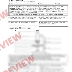 Microscope Lab Worksheets, Parts of a Microscope, Plant and Animal Cells, Low Prep STEM Lab, Middle School Life Science image 3