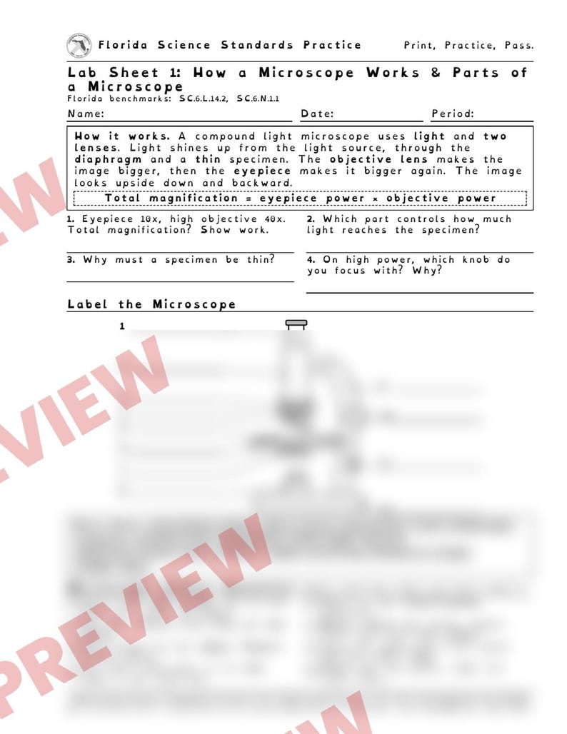 Microscope Lab Worksheets, Parts of a Microscope, Plant and Animal Cells, Low Prep STEM Lab, Middle School Life Science image 3