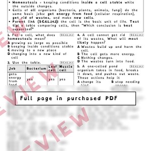 Cell Theory and Cell Homeostasis Worksheets, Florida 8th Grade Science Test Review, SC.6.L.14.2 SC.6.L.14.3, Printable Middle School Science image 3