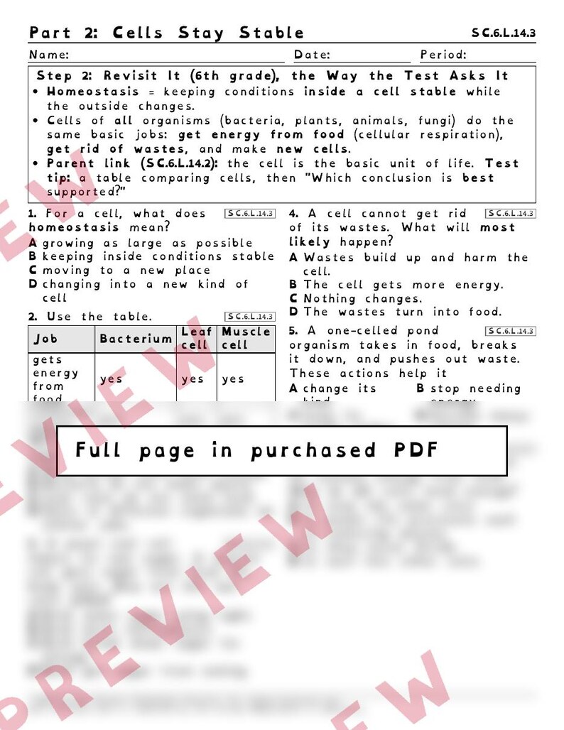 Cell Theory and Cell Homeostasis Worksheets, Florida 8th Grade Science Test Review, SC.6.L.14.2 SC.6.L.14.3, Printable Middle School Science image 3