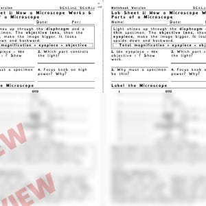 Microscope Lab Worksheets, Parts of a Microscope, Plant and Animal Cells, Low Prep STEM Lab, Middle School Life Science image 4