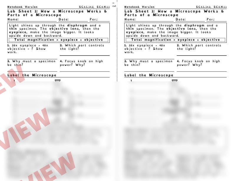 Microscope Lab Worksheets, Parts of a Microscope, Plant and Animal Cells, Low Prep STEM Lab, Middle School Life Science image 4