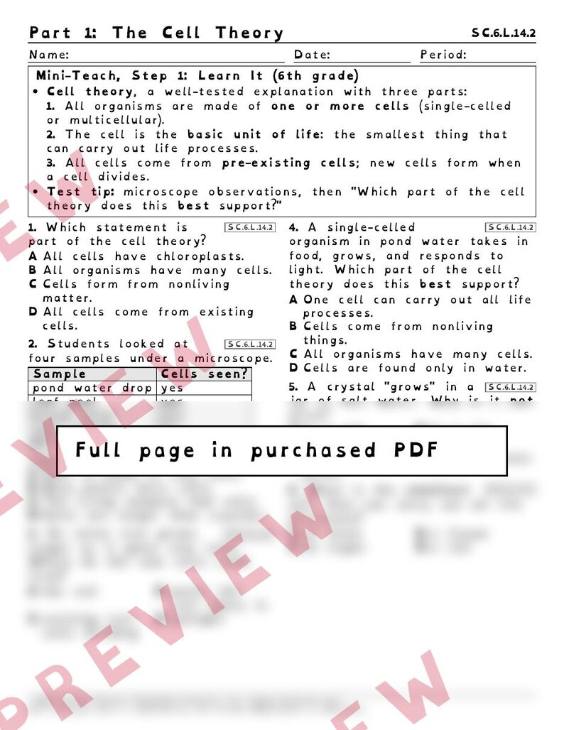 Cell Theory and Cell Homeostasis Worksheets, Florida 8th Grade Science Test Review, SC.6.L.14.2 SC.6.L.14.3, Printable Middle School Science image 2