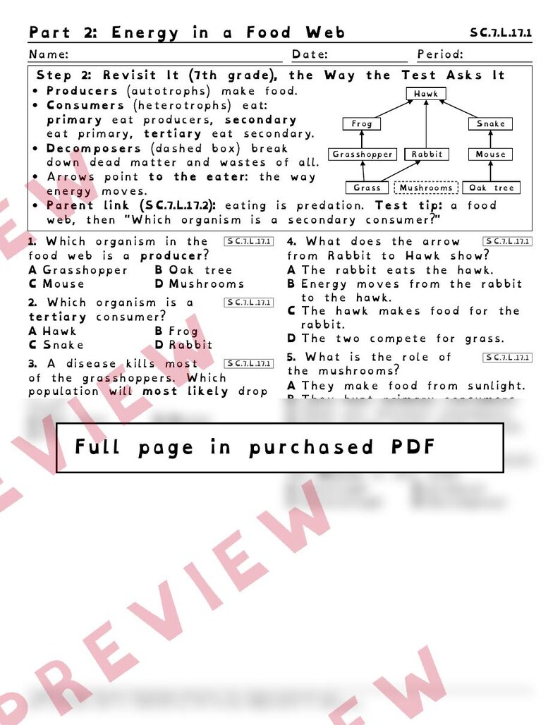 Food Webs Relationships and Limiting Factors Worksheets, Florida 8th Grade Science Test Review, SC.7.L.17.2 SC.7.L.17.1 image 3