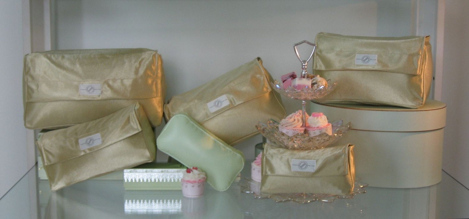  Bag-a-Vie Purse Shaper Pillow Insert - Champagne - Luxury  Handbag Shaper Insert for Women's Purses - Handbag Custom Pillow Purse  Accessories for Birkin 35 : Clothing, Shoes & Jewelry