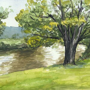 Creek Trees