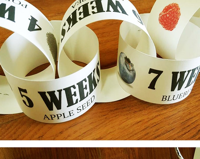 Week by Week Pregnancy, Fruit Pregnany Size, Printable Pregnancy ...