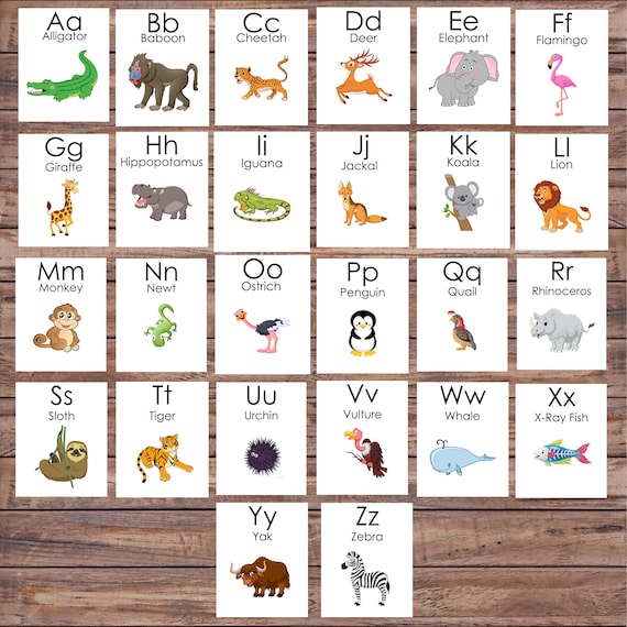 Jungle Alphabet Cards Jungle Alphabet Cards