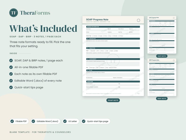BIRP Notes, DAP Notes and SOAP Note Template Bundle | 3 Progress Notes ...