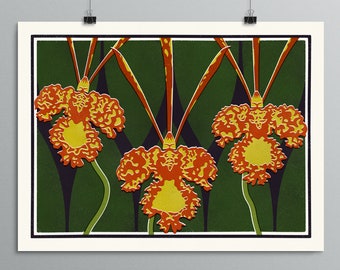 Botanical Art - Orchids - Psychopsis Mendenhall Hildos - Houseplant Poster, Plant Illustration, Mid Century Modern Decor