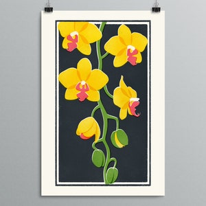 Botanical Art - Orchids - Phalaenopsis - Houseplant Illustration, Plant Art, Yellow Phal, Pink Lip, Flower Art Print