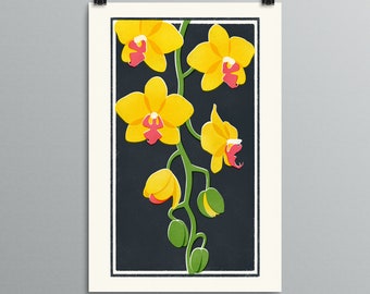 Botanical Art - Orchids - Phalaenopsis - Houseplant Illustration, Plant Art, Yellow Phal, Pink Lip, Flower Art Print