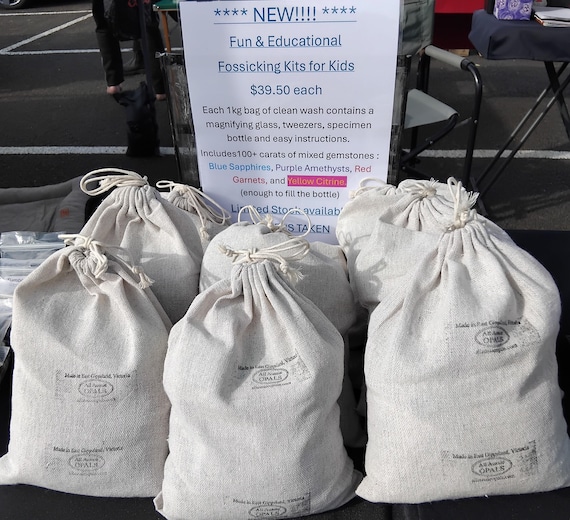 Fun and Educational Kids Fossicking Kits