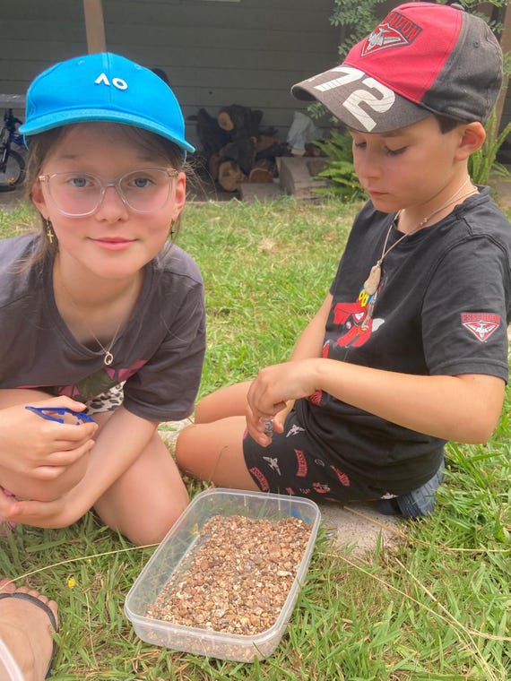 Fun and Educational Kids Fossicking Kits
