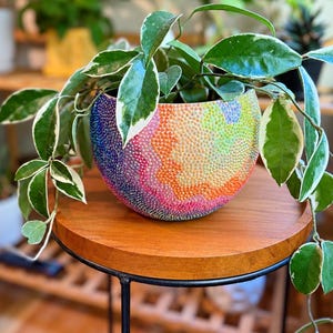May include: A round planter covered in a dense pattern of small, multicolored rhinestones arranged in a gradient of blue, purple, pink, orange, and yellow, containing a trailing Hoya plant with variegated green and white leaves.