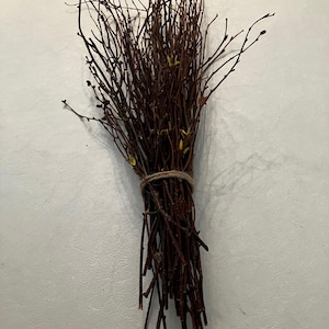 Natural BIRCH BRANCHES, One Bunch,  Natural Supplies, Do It Yourself Centerpieces, Floral Decor