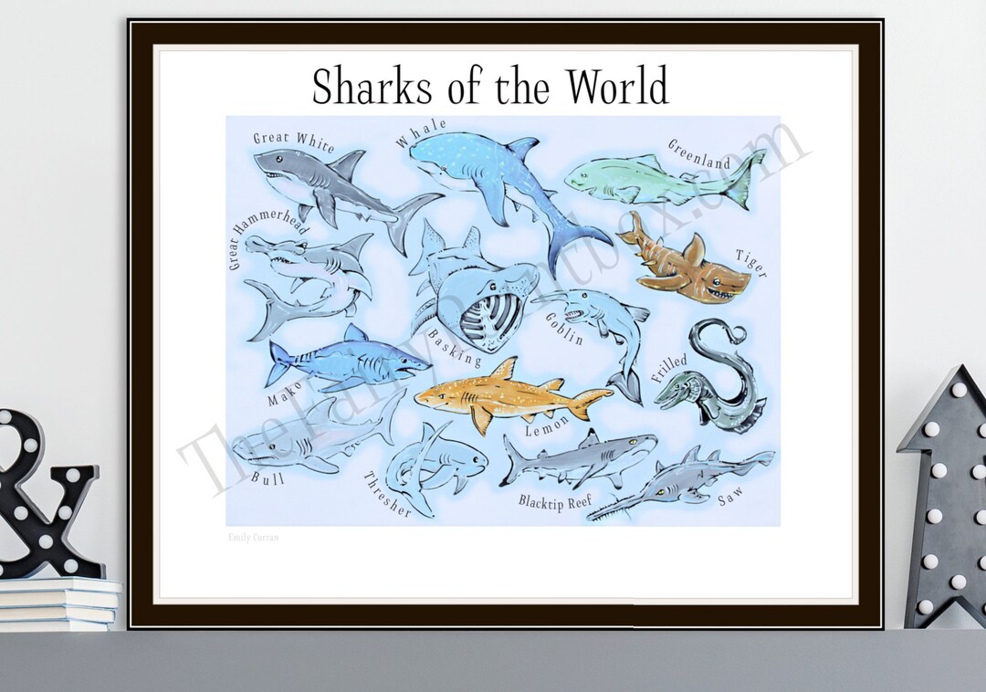 Sharks of the World Poster, Shark Baby Room Print, Shark Species Wall