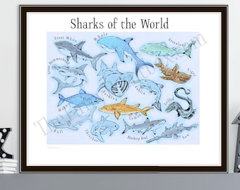 Sharks of the World Poster, Shark Baby Room Print, Shark Species Wall Art, Shark Gift for Kids, Shark Poster for Kids, Types of Sharks Print