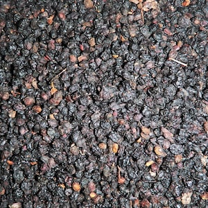 1 pound Whole Dried Elderberries - Sambucus Nigra - Wild Harvested - Europe