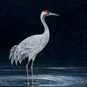 Close-up of the moonlit crane print: the red crown, white feathers and thin legs of the crane above rippled dark water.