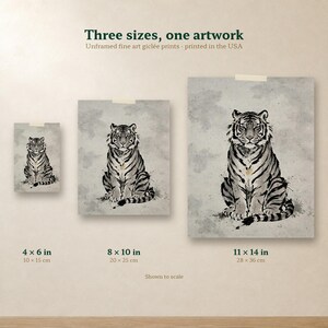 Size comparison of the Korean tiger print in 4x6, 8x10 and 11x14 inches, side by side on one wall.