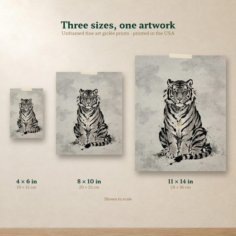 Size comparison of the Korean tiger print in 4x6, 8x10 and 11x14 inches, side by side on one wall.