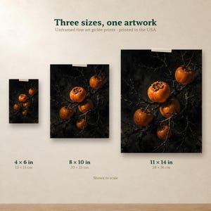 Size comparison of the persimmon print in 4x6, 8x10 and 11x14 inches, side by side on one wall.
