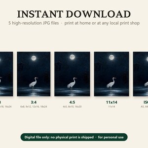 What you get with the moonlit crane printable: five high-resolution JPG files in 2:3, 3:4, 4:5, 11x14 and ISO A ratios; digital file only, no print is shipped.