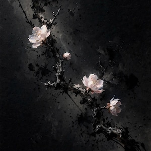 Plum blossom art print: an ink wash branch with small pale pink plum blossoms on a dark ground.