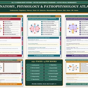 Anatomy and Physiology Study Guide PDF, 12 Body Systems Visual Atlas, Unlabeled Active Recall Diagrams & Pathophysiology Concept Maps