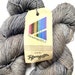35% Off Fyberspates Vivacious 4 ply Merino Fingering Yarn 399 Yards