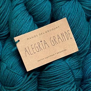 40% Off Manos del Uruguay Algeria  Grande Merino Wool Nylon Worsted Hand Dyed Yarn 197 Yards