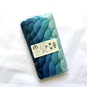 Peut inclure: Un ensemble de cinq mini écheveaux de fil Cloudborn Fibers Merino Superwash Sock Twist dans un dégradé de nuances bleu et sarcelle, emballé dans une pochette en plastique transparent avec une étiquette indiquant 80% laine mérinos et 20% polyamide.