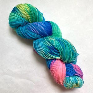 Mystery Superwash Merino Yarn Hand Dyed DK Yarn 200 Yards 4 oz