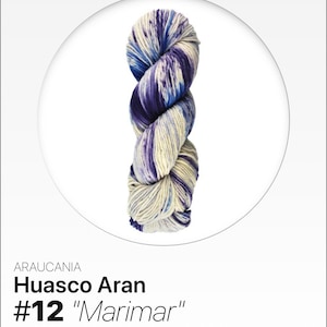 40% Off Araucania Huasco Aran Hand Painted Superwash Extrafine Merino Wool 197 Yards