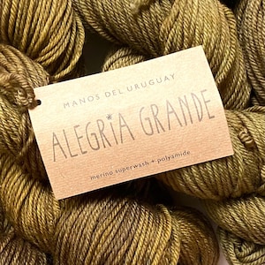 40% Off Manos del Uruguay Algeria  Grande Merino Wool Nylon Worsted Hand Dyed Yarn 197 Yards