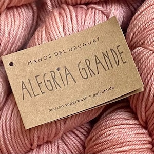 40% Off Manos del Uruguay Algeria  Grande Merino Wool Nylon Worsted Hand Dyed Yarn 197 Yards