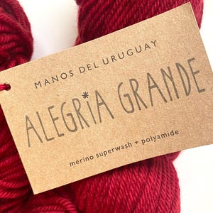 40% Off Manos del Uruguay Algeria  Grande Merino Wool Nylon Worsted Hand Dyed Yarn 197 Yards