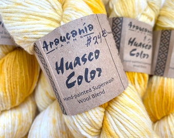 40% di Sconto Araucania Huasco Color Sport Filato di Lana Merino Extrafine Dipinto a Mano 304 Yarde