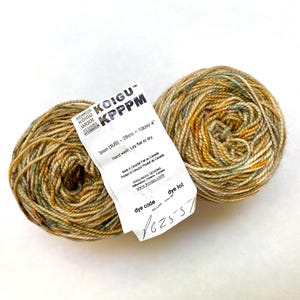 May include: Two skeins of Koigu KPPPM yarn in a multi-colored pattern of beige, brown, yellow, and blue. The yarn is labeled with the brand name, yarn weight, and care instructions. The dye lot number is 162557.