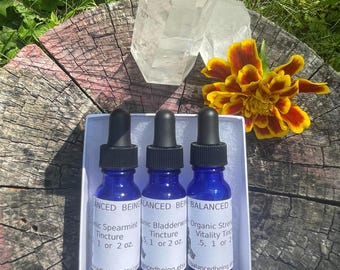 Herbal Sample Tincture Pack 3 - .5 oz Dropper Bottles